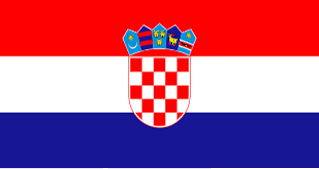Successfully guess the correct country and reveal the flag